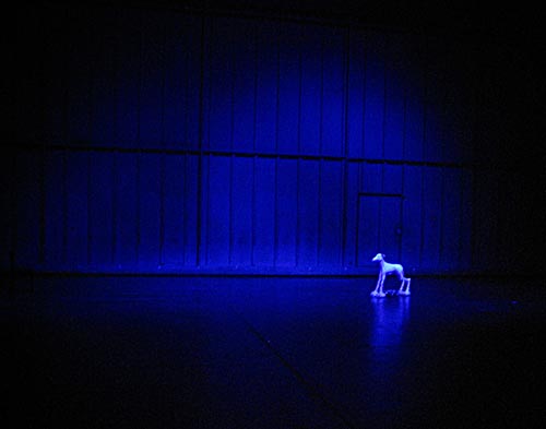 GRNDLICHE FREUDE BER DEM ABGRUND