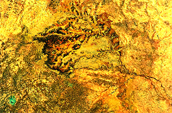 LUSTBILDBLTTER N 2015